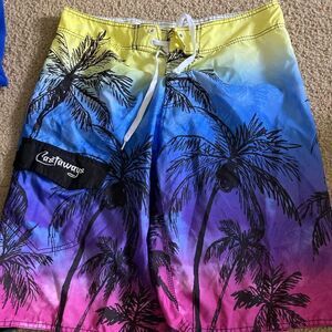 Mens Castaways Colorful Blue and Pink Palm Tree Swim Trunks